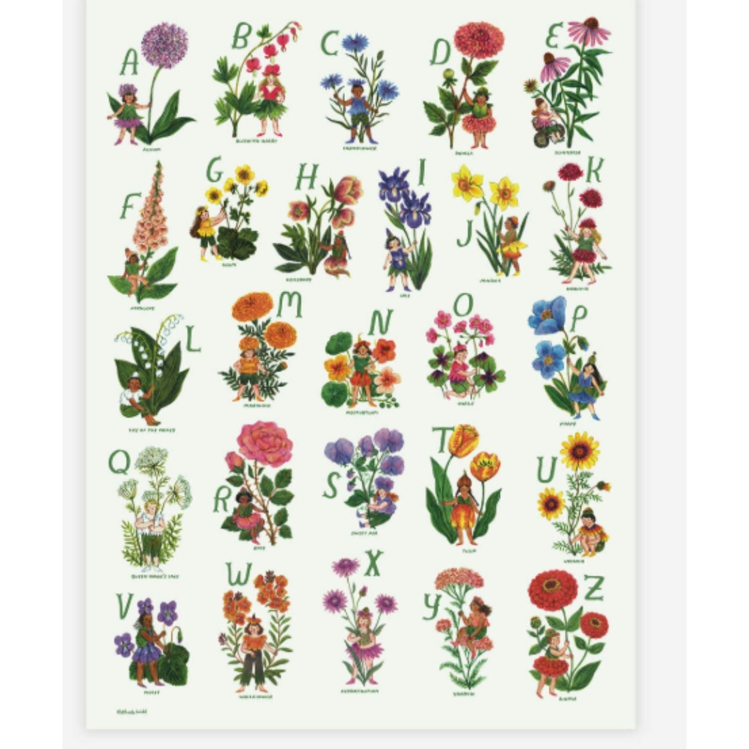 Print-Flower Fairies