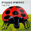The Grouchy Ladybug HEBREW