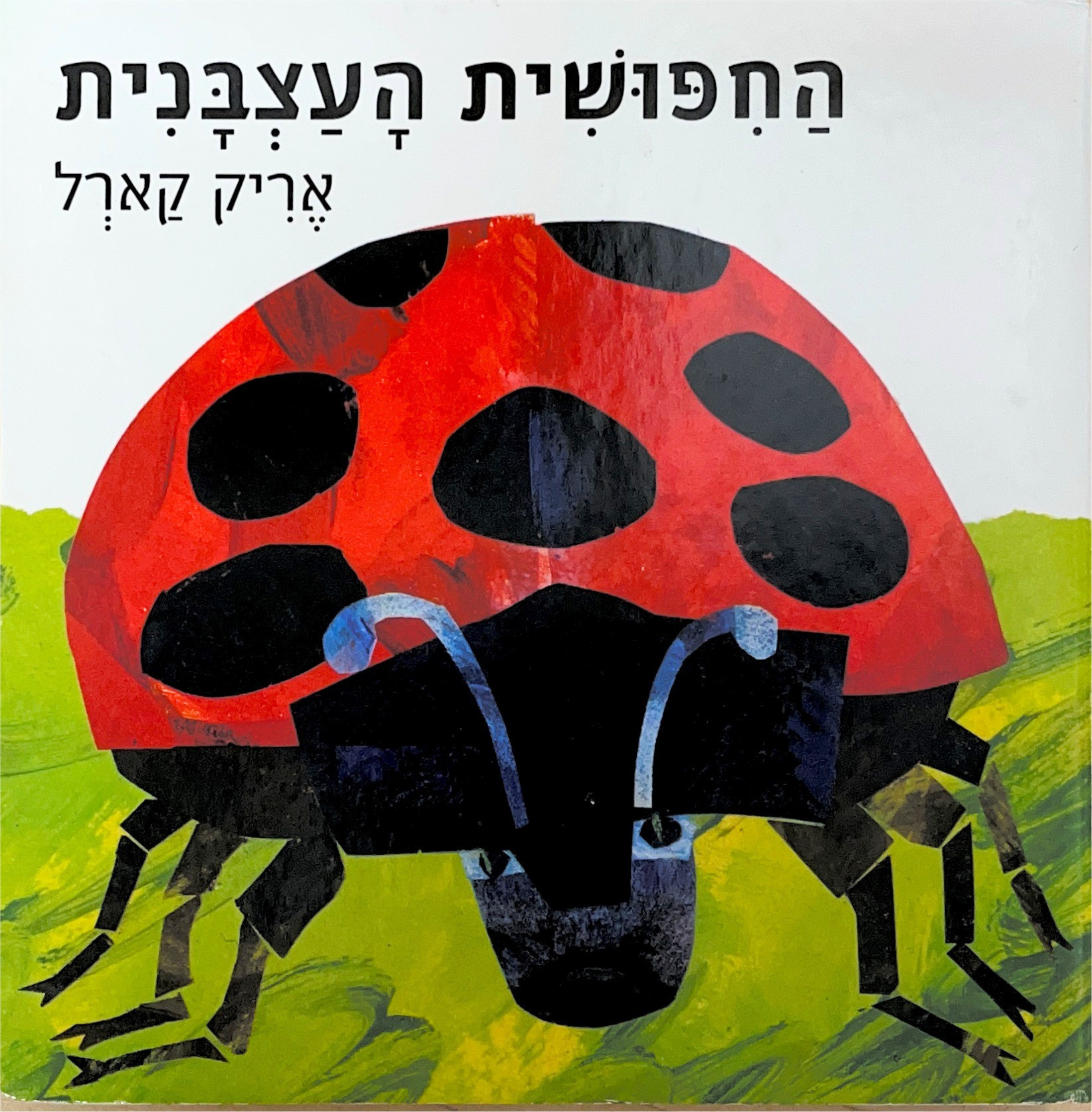 The Grouchy Ladybug HEBREW