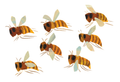 Postcard-Honeybees