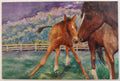 Postcard-Dyer Time for Bed