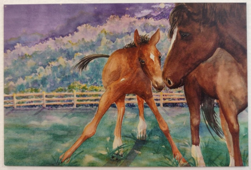 Postcard-Dyer Time for Bed