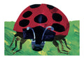 Postcard-Ladybug