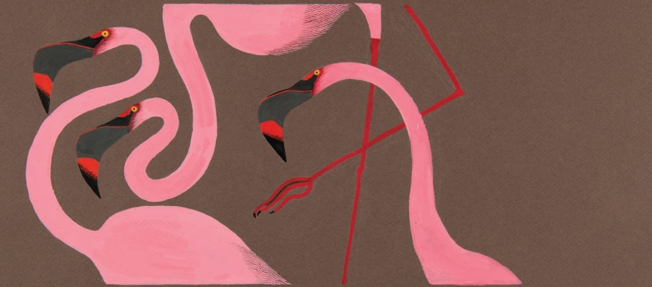 Postcard-Mello Flamingos
