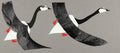 Postcard-Mello Geese