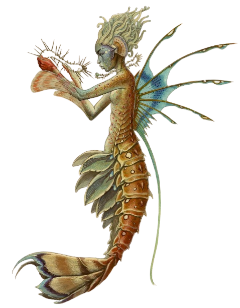 Sticker-DiTerlizzi Mermaid