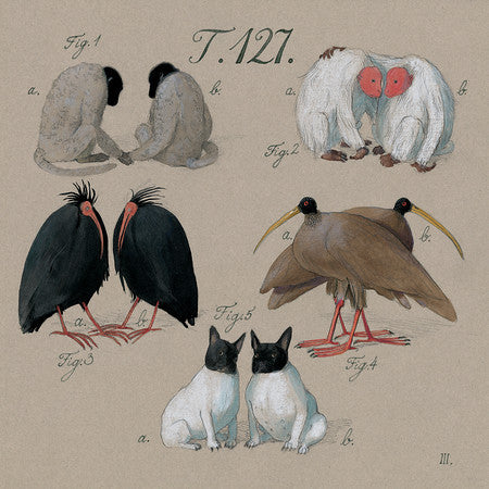 Postcard-Zwerger Noah's Ark Pairs