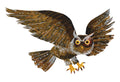Postcard-Owl Eric Carle