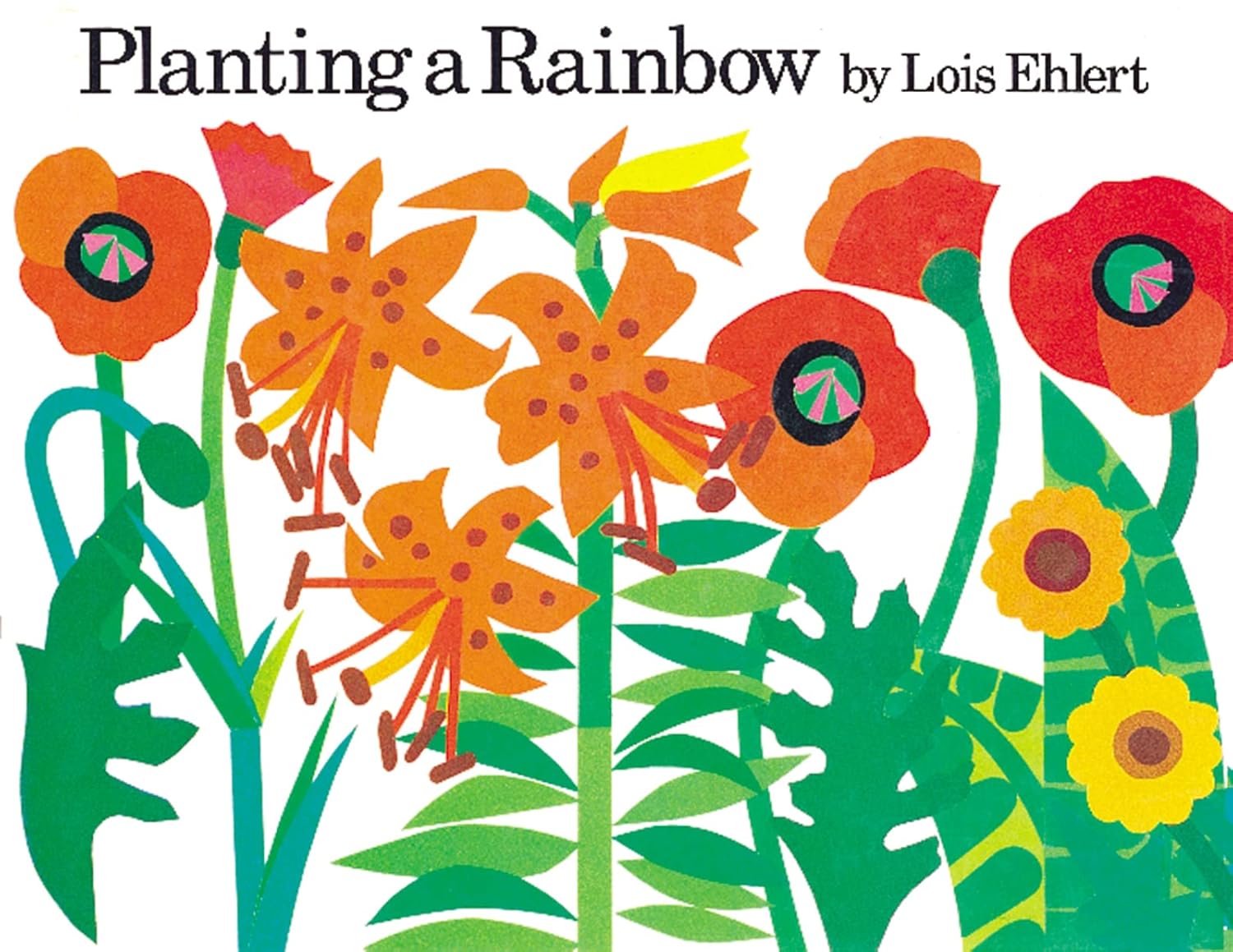 Planting A Rainbow (Board Book)