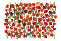 Postcard-Flower Field Friends
