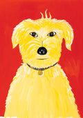 Postcard-Kalman Pete