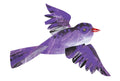 Postcard-Purple Bird