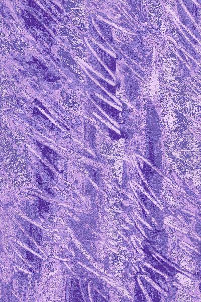 Fabric-Purple Brushstroke