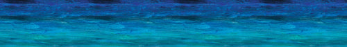 Bulletin Borders-Blue