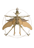 Sticker-DiTerlizzi Spiderwick