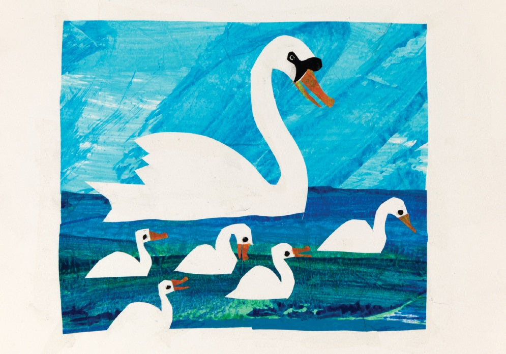 Postcard-Swan Mother