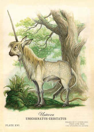 Postcard-DiTerlizzi Unicorn