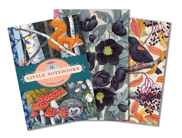 Vasilisa's Little Book Notebooks