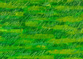 Member-Community Supporter