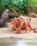 Hermit Crab Puppet-LG