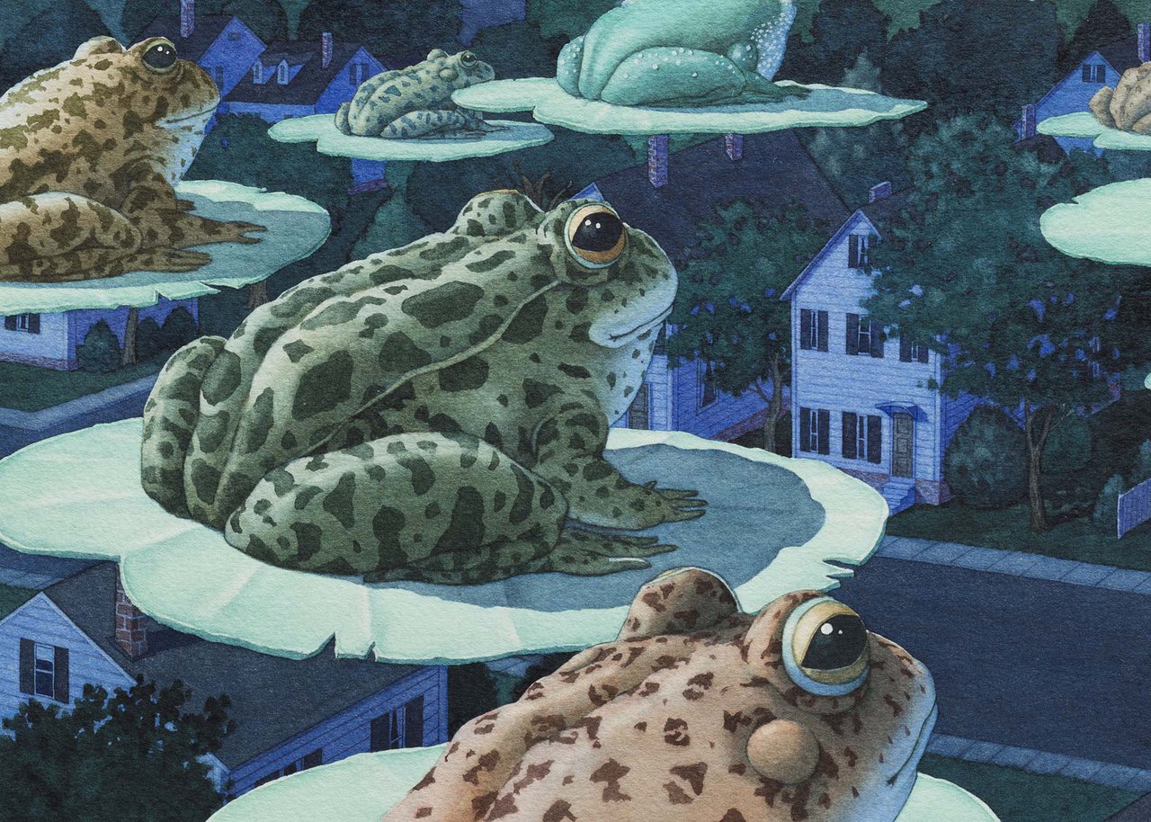 Card-Tuesday Frogs