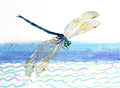 Lithograph-Dragonfly