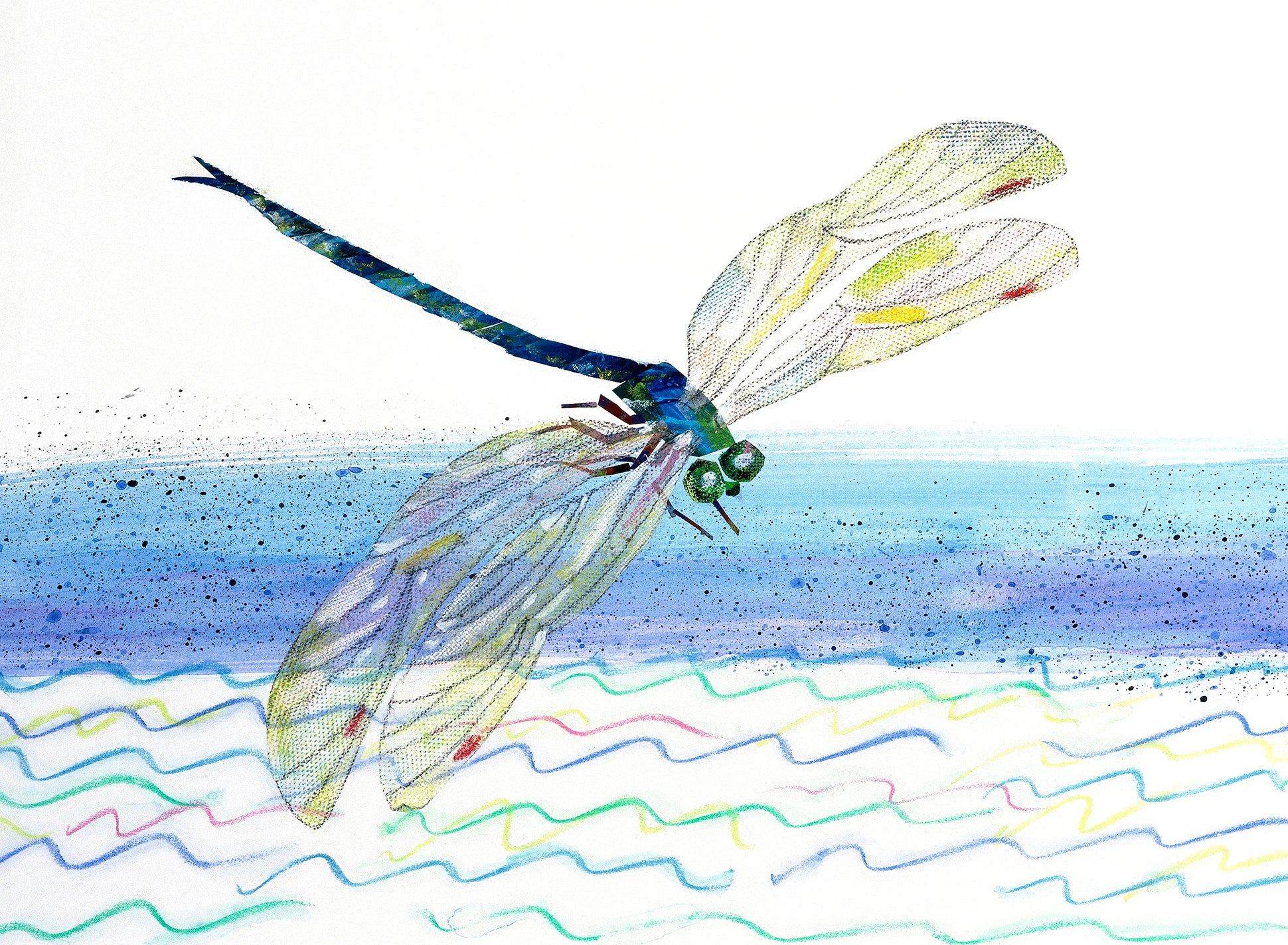 Lithograph-Dragonfly